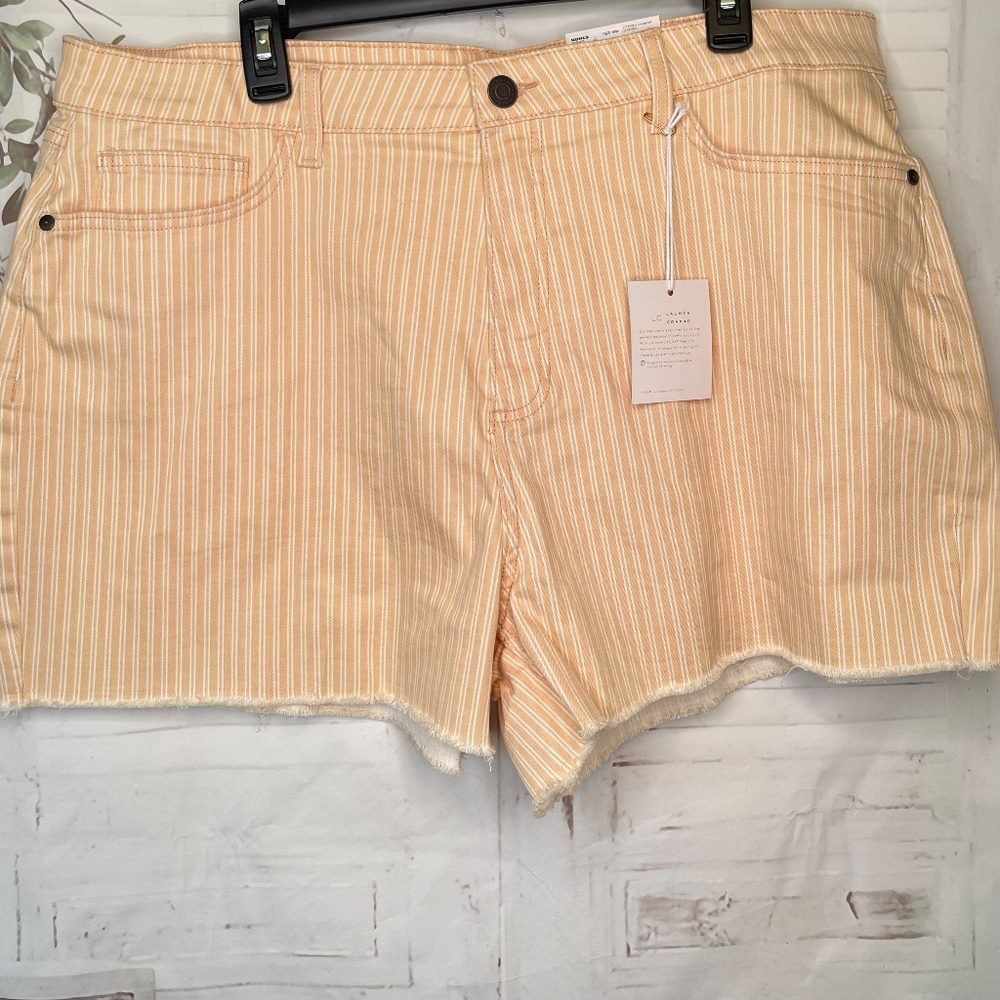 LC Lauren Conrad Peach Super High Rise Cutoff Slim Hip Thighs Shorts Plus 18W